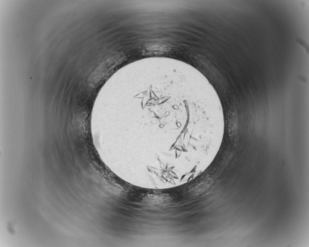 X0000103900455200810171618