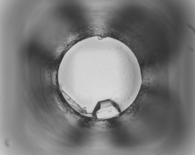 X0000103900456200810171618