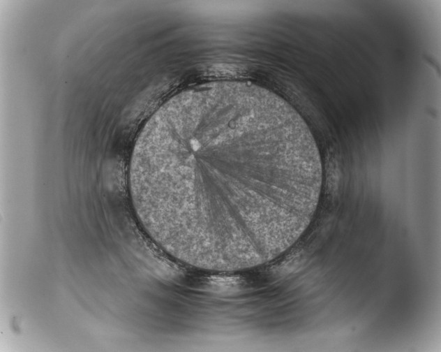 X0000103900457200810171618