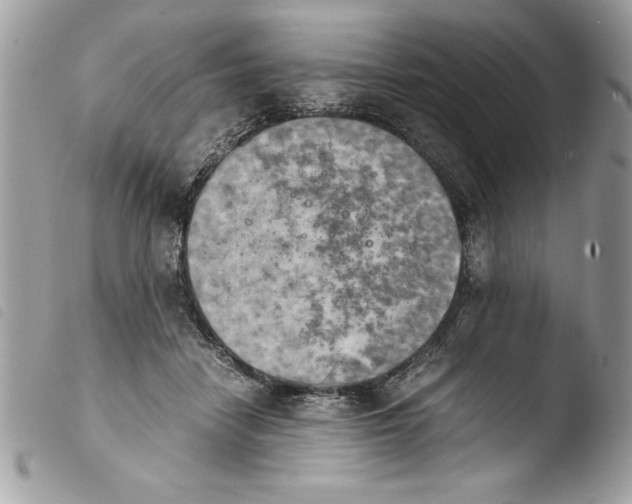 X0000103900458200810171618