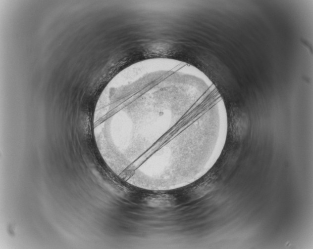 X0000103900459200810171618