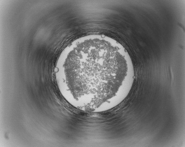 X0000103900460200810171618