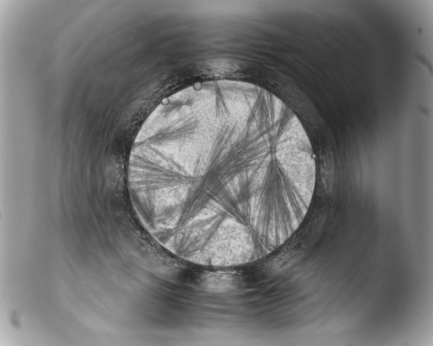 X0000103900461200810171618