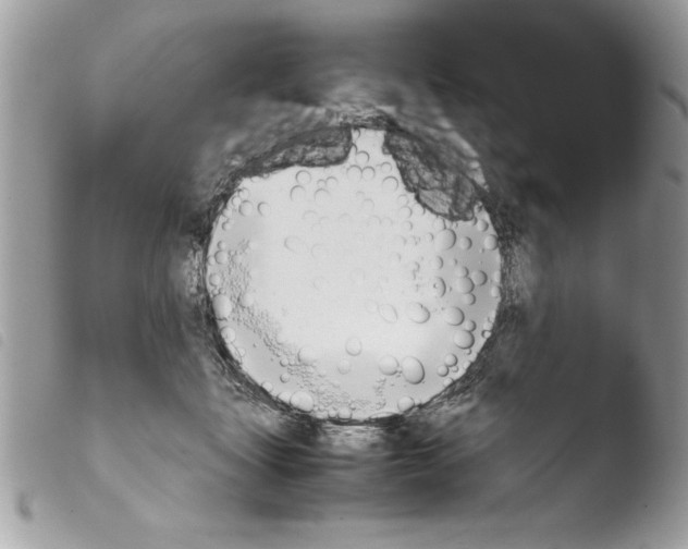 X0000103900463200810171618