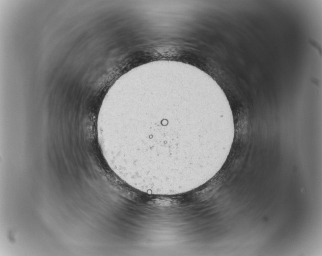 X0000103900464200810171618