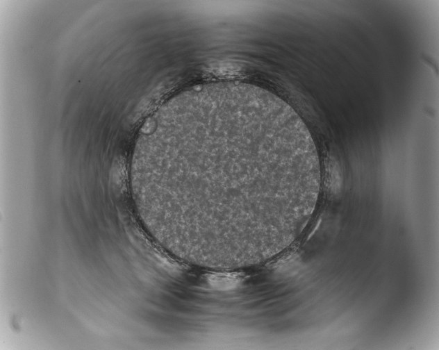 X0000103900465200810171618