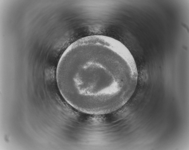 X0000103900466200810171618