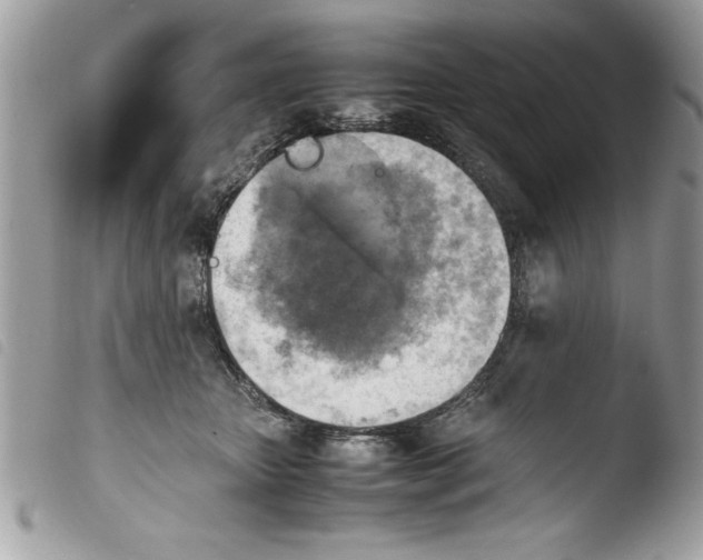 X0000103900467200810171618