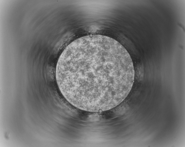 X0000103900470200810171618