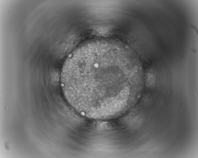 X0000103900472200810171618