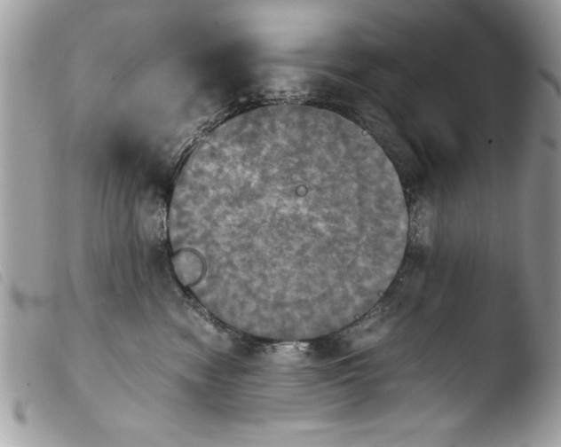 X0000103900474200810171618