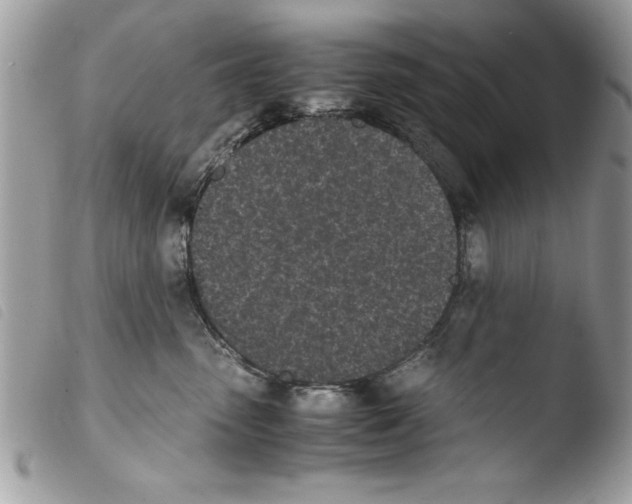 X0000103900475200810171618