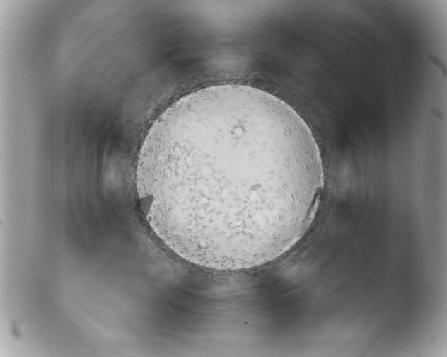 X0000103900476200810171618