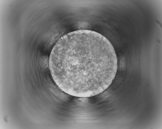 X0000103900478200810171618