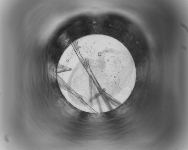 X0000103900479200810171618