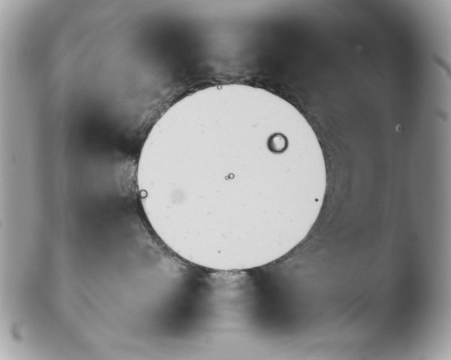 X0000103900480200810171618