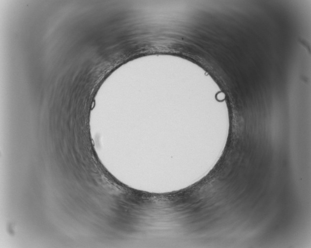 X0000103900481200810171618