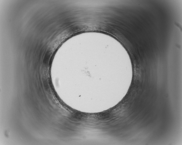 X0000103900485200810171618