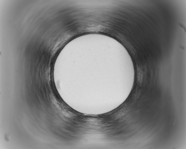 X0000103900486200810171618