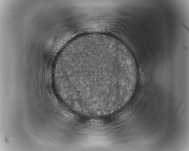 X0000103900487200810171618