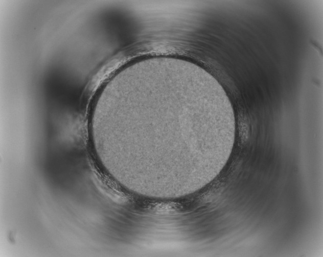 X0000103900488200810171617