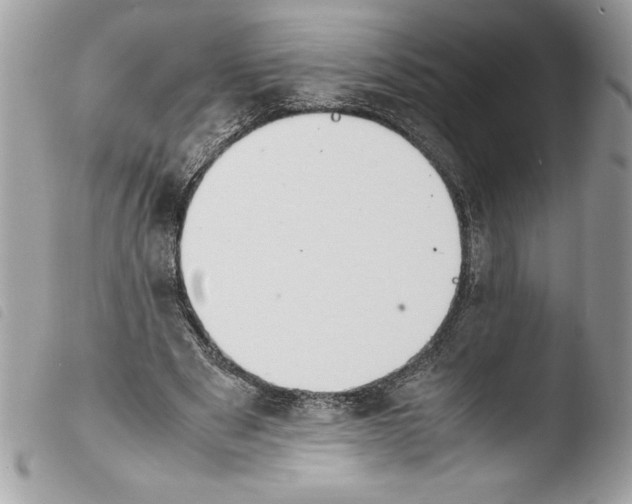 X0000103900489200810171617