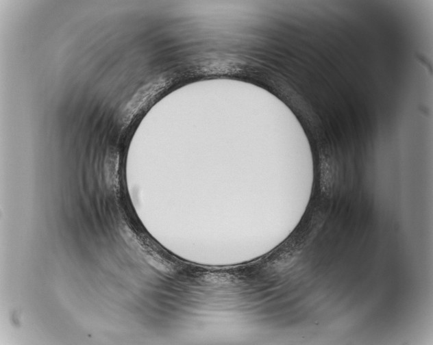 X0000103900490200810171617