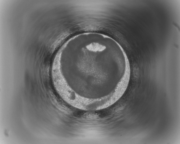 X0000103900491200810171617