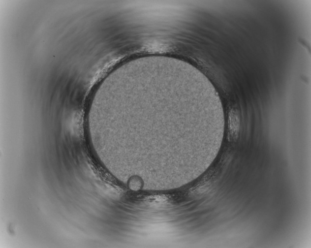 X0000103900492200810171617