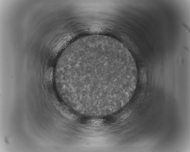 X0000103900495200810171617