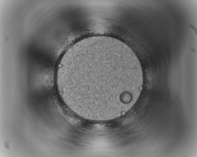 X0000103900496200810171617