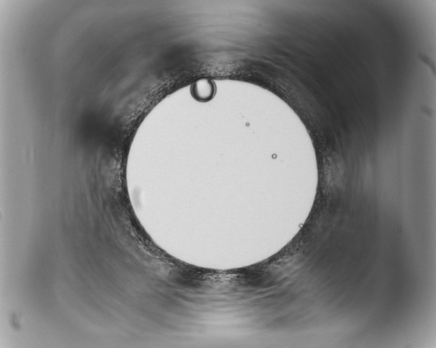 X0000103900497200810171617