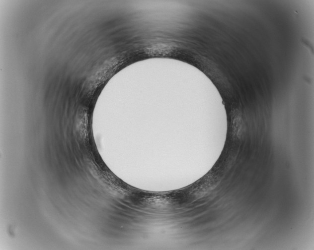 X0000103900498200810171617