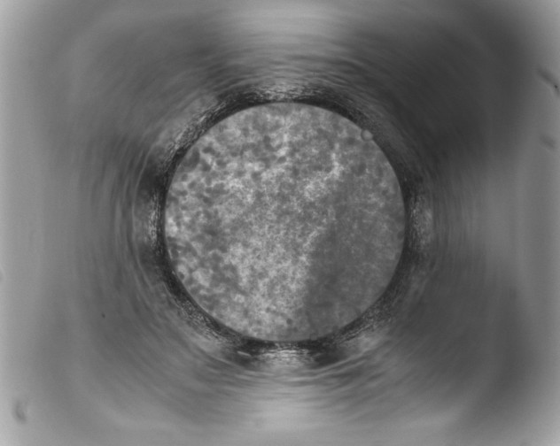 X0000103900499200810171617