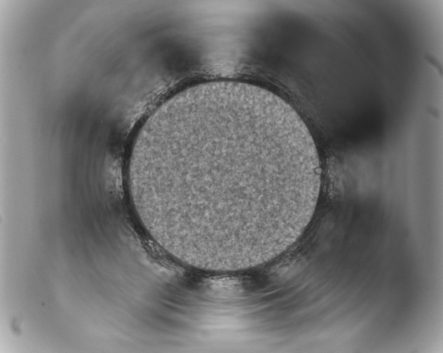 X0000103900500200810171617