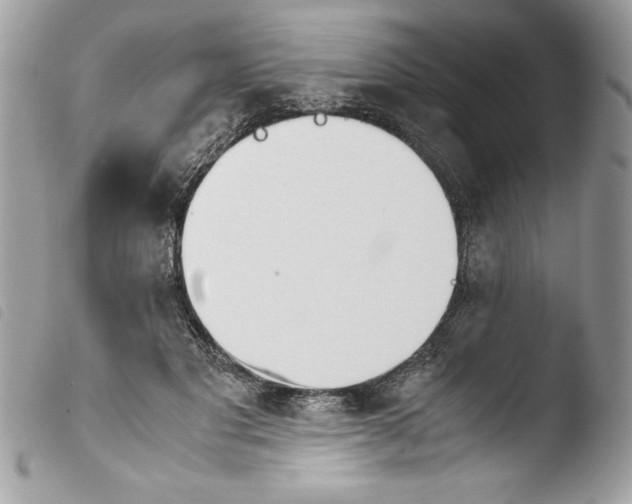 X0000103900501200810171617