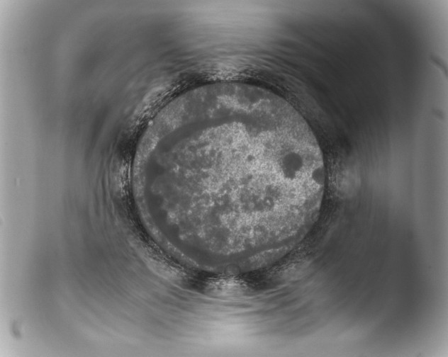 X0000103900503200810171617