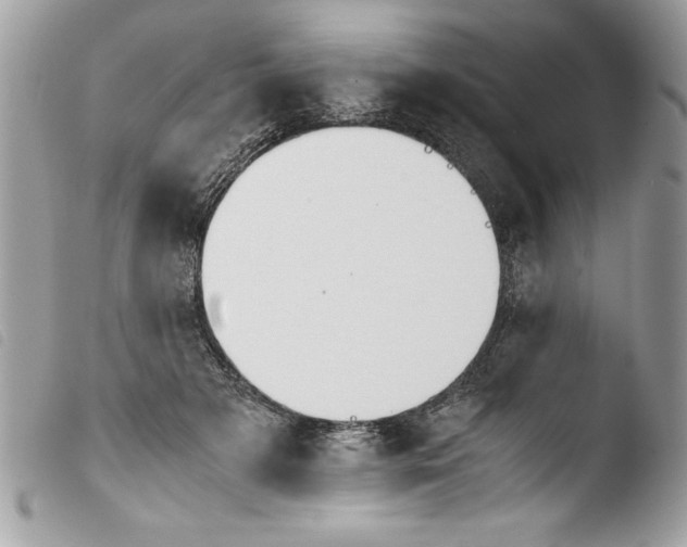 X0000103900505200810171617