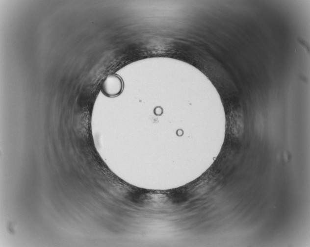 X0000103900509200810171617