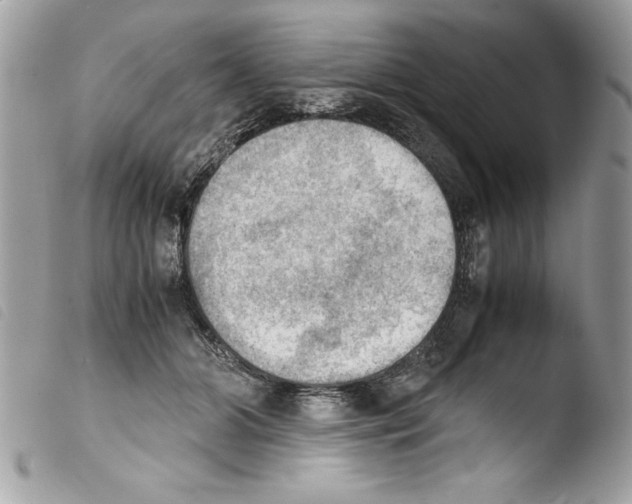 X0000103900510200810171617