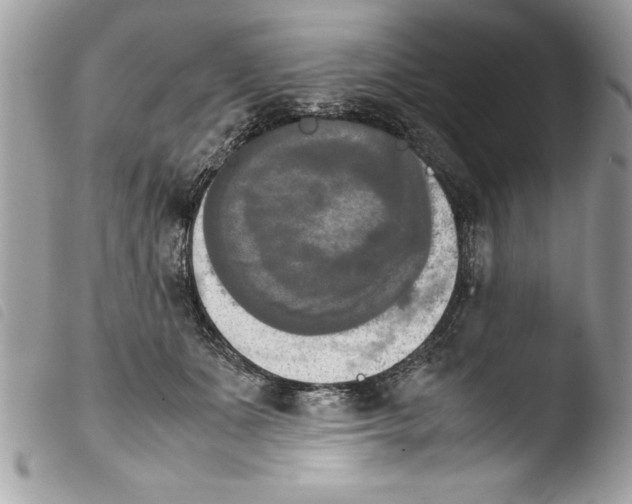 X0000103900511200810171617