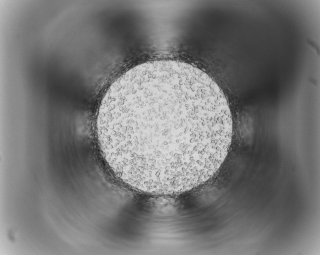 X0000103900512200810171617