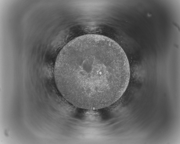 X0000103900515200810171617