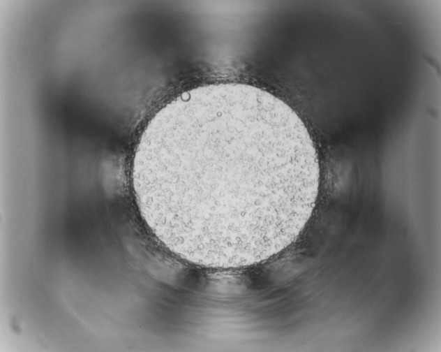 X0000103900516200810171617