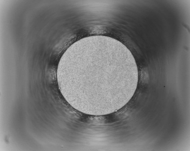 X0000103900517200810171617