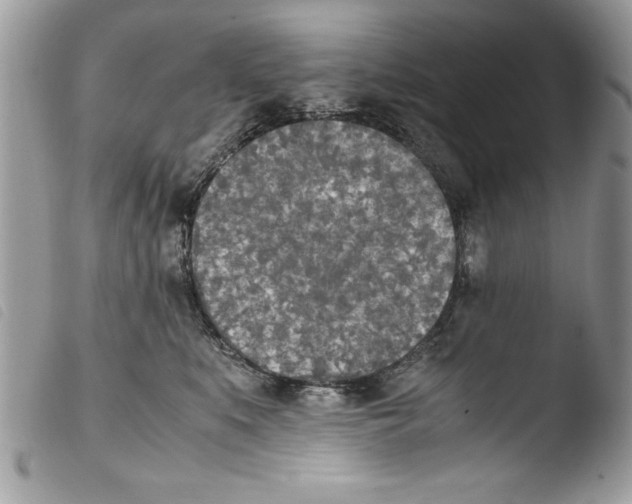 X0000103900519200810171617