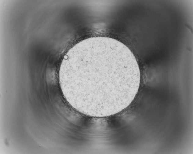 X0000103900520200810171617