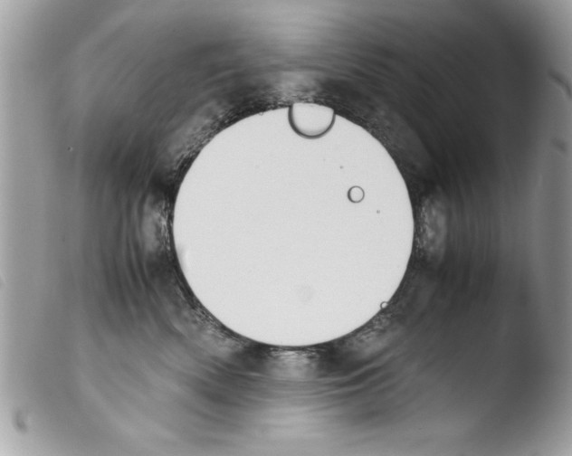 X0000103900522200810171617