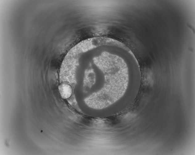 X0000103900523200810171617