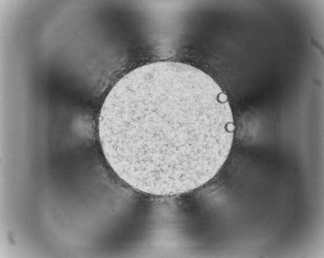 X0000103900524200810171617